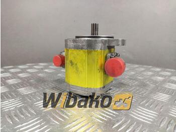 Hydraulic pump