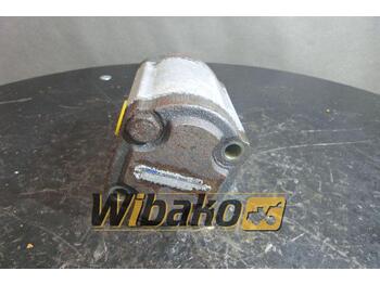 Hydraulic pump