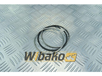 Piston/ Ring/ Bushing