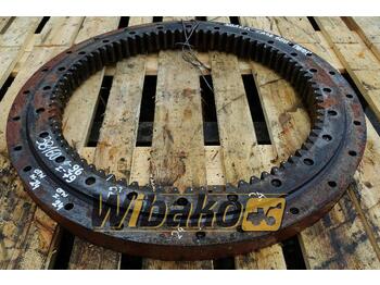 Slewing ring CASE
