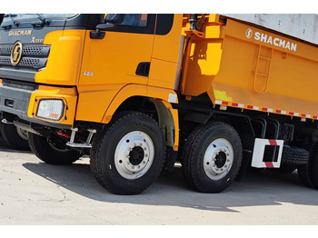 New Tipper for transportation of bulk materials SHACMAN Shacman Heavy Duty Truck for Sale in Guyana: picture 4