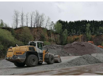 Wheel loader Liebherr L566: picture 5