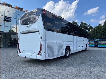 Coach N.2 IVECO MAGELYS – Anno 2019: picture 4