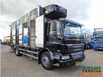 Refrigerator truck DAF FA CF65.250 4x2 Daycab Euro5 KoelVriesBak 6.7M  + Carrier Supra750Mt + Laadklep2000kg: picture 3