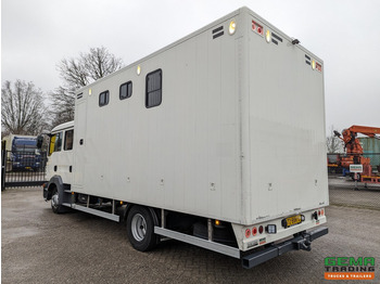 Horse truck MAN TGL 12.180 4x2 DoKa 7 pers. Euro5 EEV - Paardenwagen 2-Paards - 147.000km! - MARGE: picture 4
