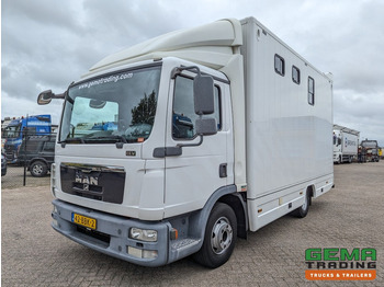 Horse truck MAN TGL 12.250 4x2 Euro5 EEV RC HorseTruck - 2a3 Paards - 135.000km - MARGE (V821): picture 2