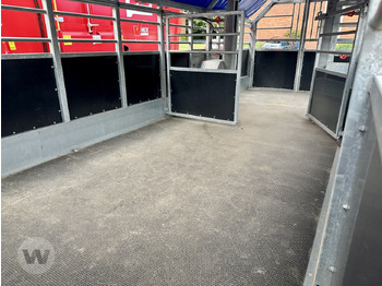 New Livestock trailer TRANSPORTW. 7M: picture 4