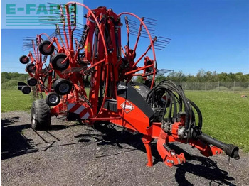 Tedder/ Rake KUHN