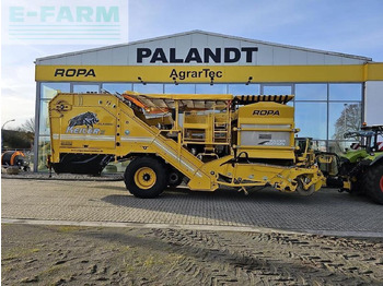Potato harvester ROPA