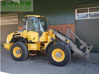 Mini excavator VOLVO L45F