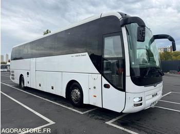 Coach MAN Lion's Coach