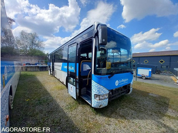 Minibus IVECO Crossway