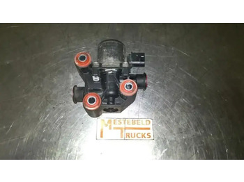 Muffler/ Exhaust system DAF