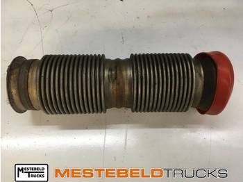 Muffler/ Exhaust system DAF