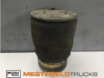Brake parts DAF