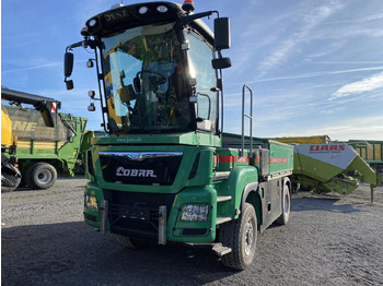 Dropside/ Flatbed truck