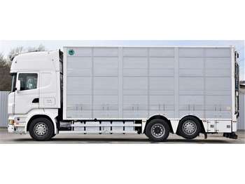 Lease a Scania R 500 TIERTRANSPORTWAGEN 7,10m / 4STOCK  Scania R 500 TIERTRANSPORTWAGEN 7,10m / 4STOCK: picture 3