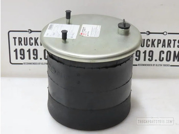 Air suspension DAF