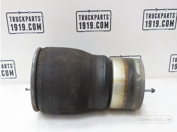 Air suspension DAF