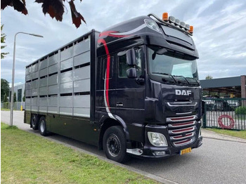 Livestock truck DAF XF 460 - Animal transporter: picture 2 Livestock truck DAF XF 460 - Animal transporter: picture 2