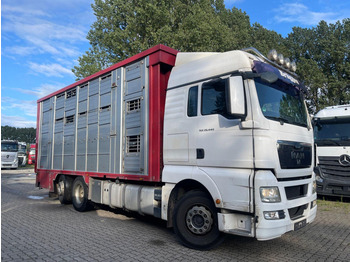 Livestock truck MAN TGX 26.400