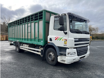 Horse truck DAF CF410: picture 2