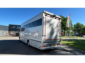 Lease a MAN TGM 15.250 5 horses and living brand Krismar MAN TGM 15.250 5 horses and living brand Krismar: picture 2