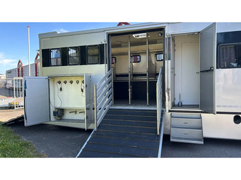 Lease a MAN TGM 15.250 5 horses and living brand Krismar MAN TGM 15.250 5 horses and living brand Krismar: picture 3