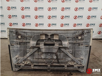 Grill for Truck DAF Occ grille DAF: picture 2