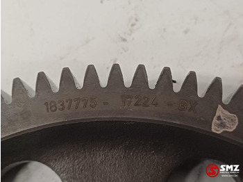 Camshaft for Truck DAF Occ nokkenastandwiel MX13 DAF: picture 3
