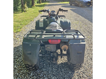 Side-by-side/ ATV Suzuki Eiger 400: picture 4