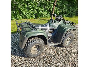 Side-by-side/ ATV Suzuki Eiger 400: picture 3