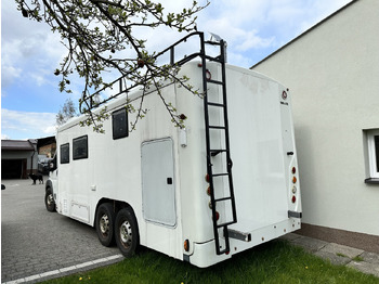 Semi-integrated motorhome FIAT DUCATO: picture 4