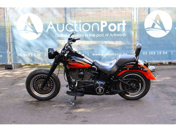 Motorcycle Harley-Davidson Fat Boy Low: picture 2