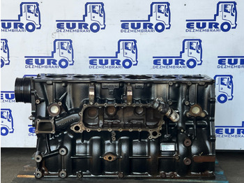Engine for Truck BLOC MOTOR FORD CARGO F-MAX FHR6: picture 3