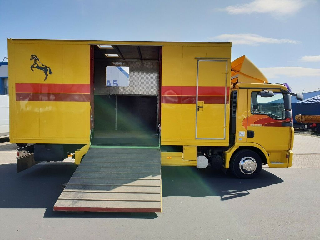 Lease a MAN TGL 10.180 Euro 4  Pferdetransporter Horse  MAN TGL 10.180 Euro 4  Pferdetransporter Horse: picture 11