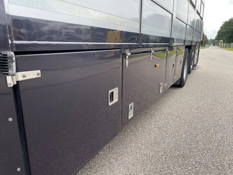 Lease a DAF XF 460 2017 berdex 3 lagen varkens DAF XF 460 2017 berdex 3 lagen varkens: picture 6
