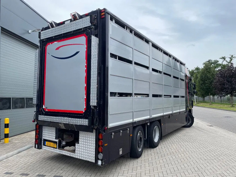 Lease a DAF XF 460 2017 berdex 3 lagen varkens DAF XF 460 2017 berdex 3 lagen varkens: picture 8