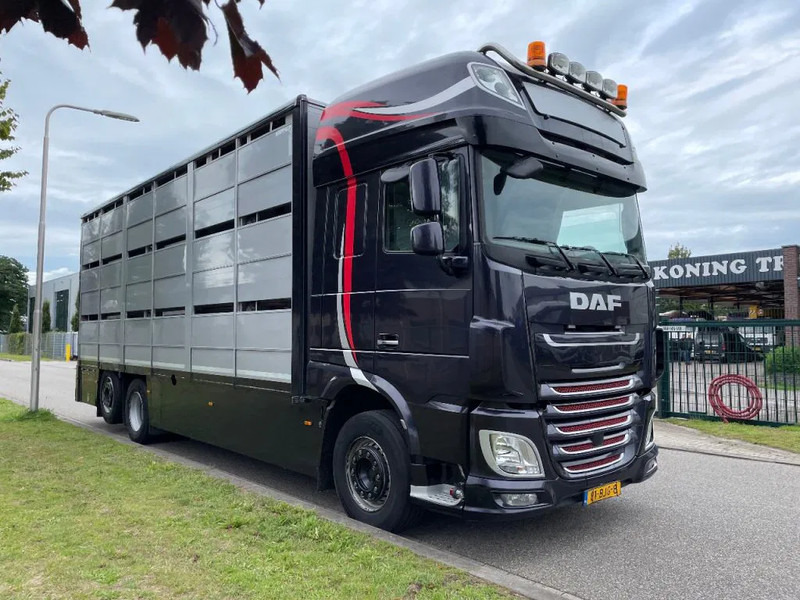 Lease a DAF XF 460 2017 berdex 3 lagen varkens DAF XF 460 2017 berdex 3 lagen varkens: picture 19