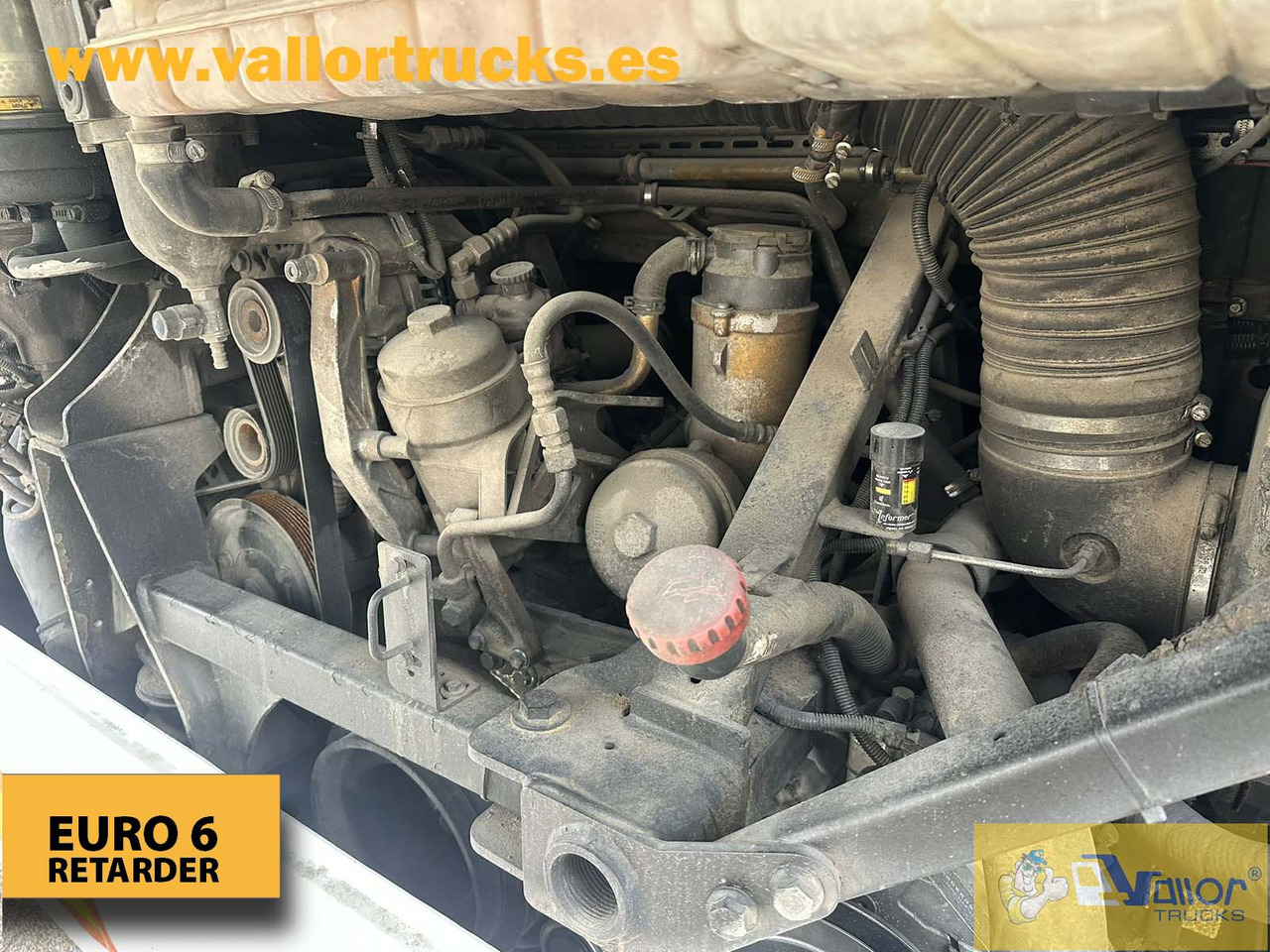 MAN LION´S REGIO L - School bus: picture 5 MAN LION´S REGIO L - School bus: picture 5