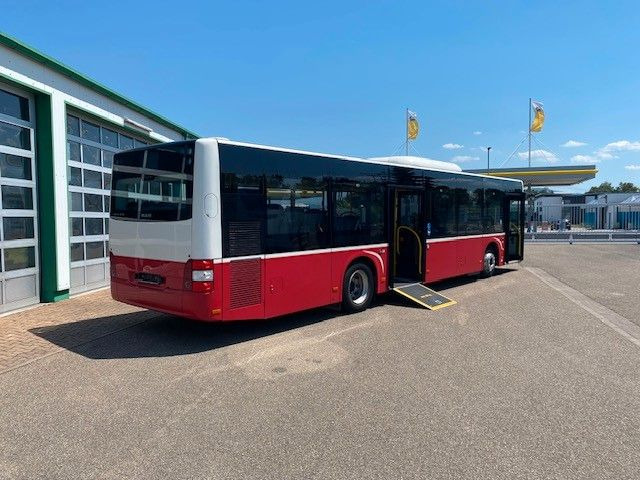 MAN A 21 Lions City KLIMA EURO 6 ZF EcoLife - City bus: picture 4 MAN A 21 Lions City KLIMA EURO 6 ZF EcoLife - City bus: picture 4