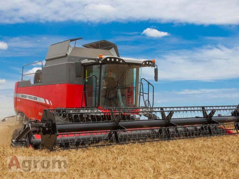 Massey Ferguson 7360 Beta - Combine harvester: picture 3 Massey Ferguson 7360 Beta - Combine harvester: picture 3