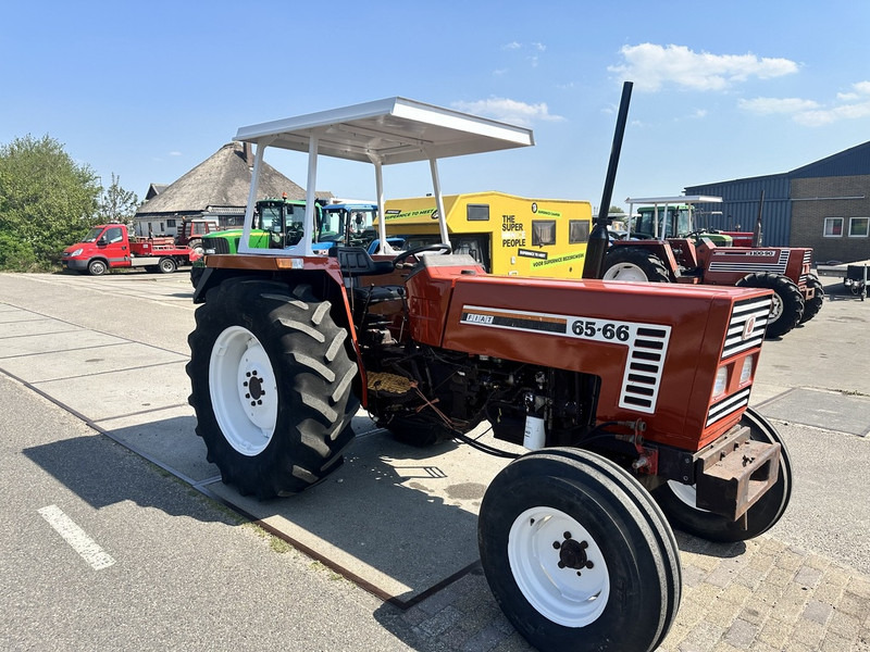 Fiat 65-66 - Farm tractor: picture 3 Fiat 65-66 - Farm tractor: picture 3