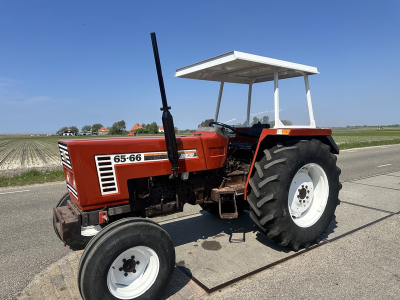 Fiat 65-66 - Farm tractor: picture 1 Fiat 65-66 - Farm tractor: picture 1