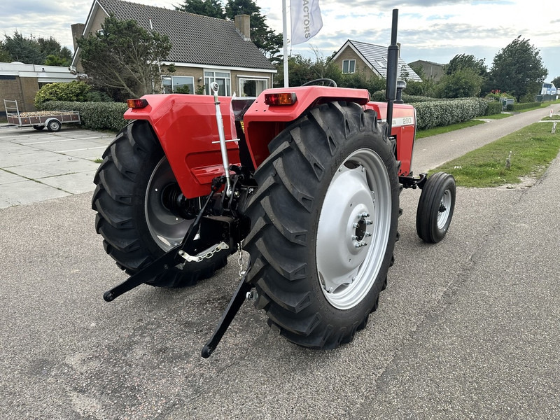 New Farm tractor Massey Ferguson 290: picture 10