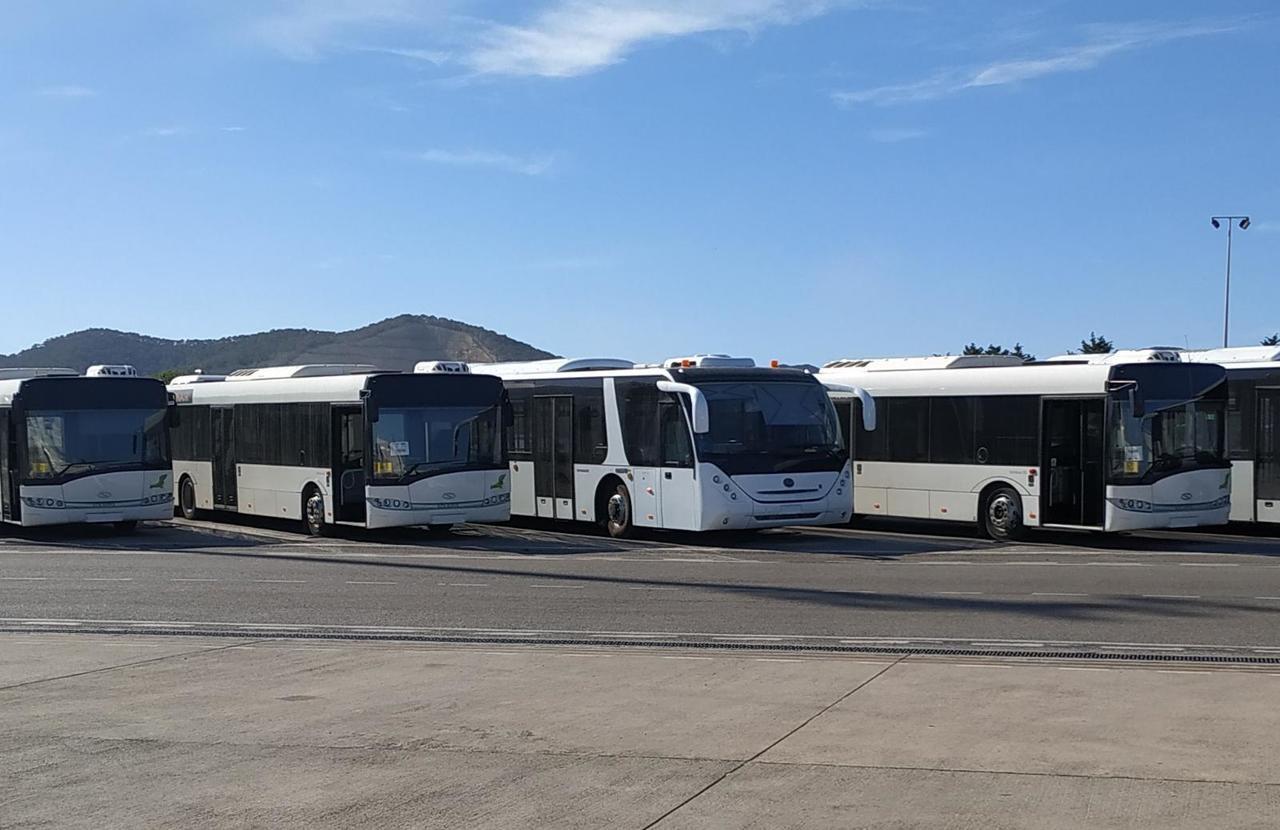 Solaris Urbino 12 - Airport bus: picture 1 Solaris Urbino 12 - Airport bus: picture 1