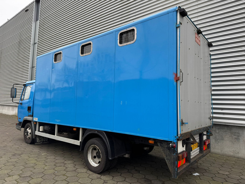 DAF LF45.130 / Horse Truck / 6 Cilinder / Manual Gearbox / Euro 2 / NL Trucks - Livestock truck: picture 4 DAF LF45.130 / Horse Truck / 6 Cilinder / Manual Gearbox / Euro 2 / NL Trucks - Livestock truck: picture 4