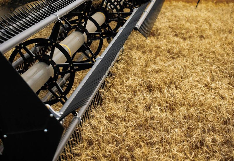 Honey Bee AirFLEX NXT AFN236 - Grain header: picture 1 Honey Bee AirFLEX NXT AFN236 - Grain header: picture 1