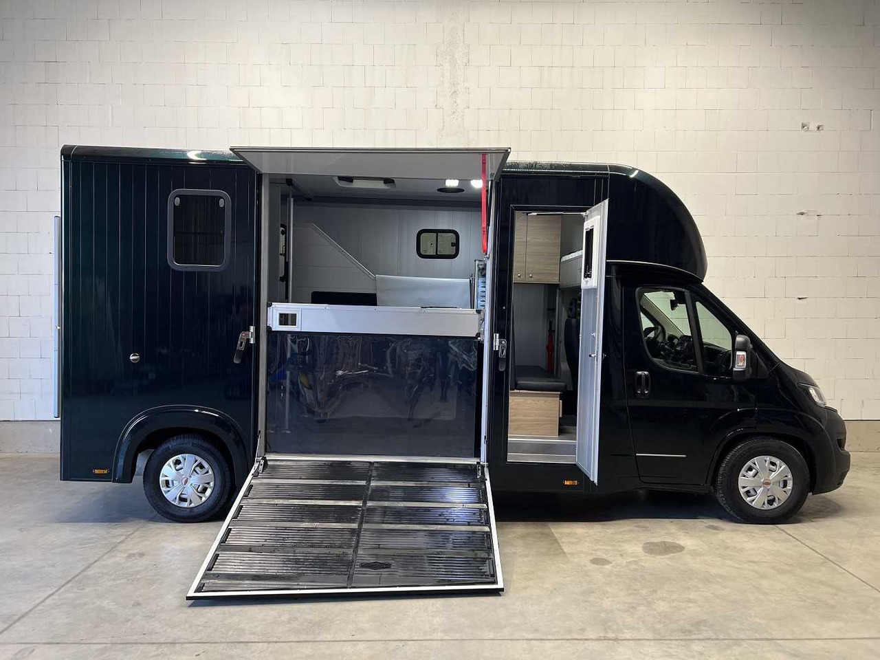 Fiat Böckmann Compact L+ Stall Tour LKW - Horse truck: picture 4 Fiat Böckmann Compact L+ Stall Tour LKW - Horse truck: picture 4