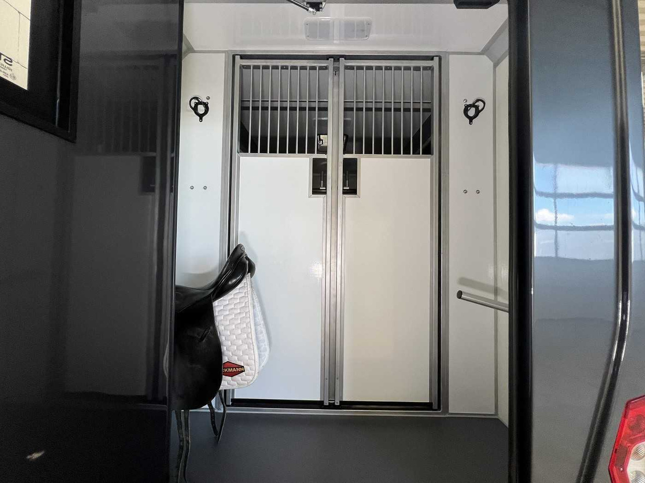 New Horse truck, Van RENAULT Master Haras STX 5-Sitzer LKW: picture 13